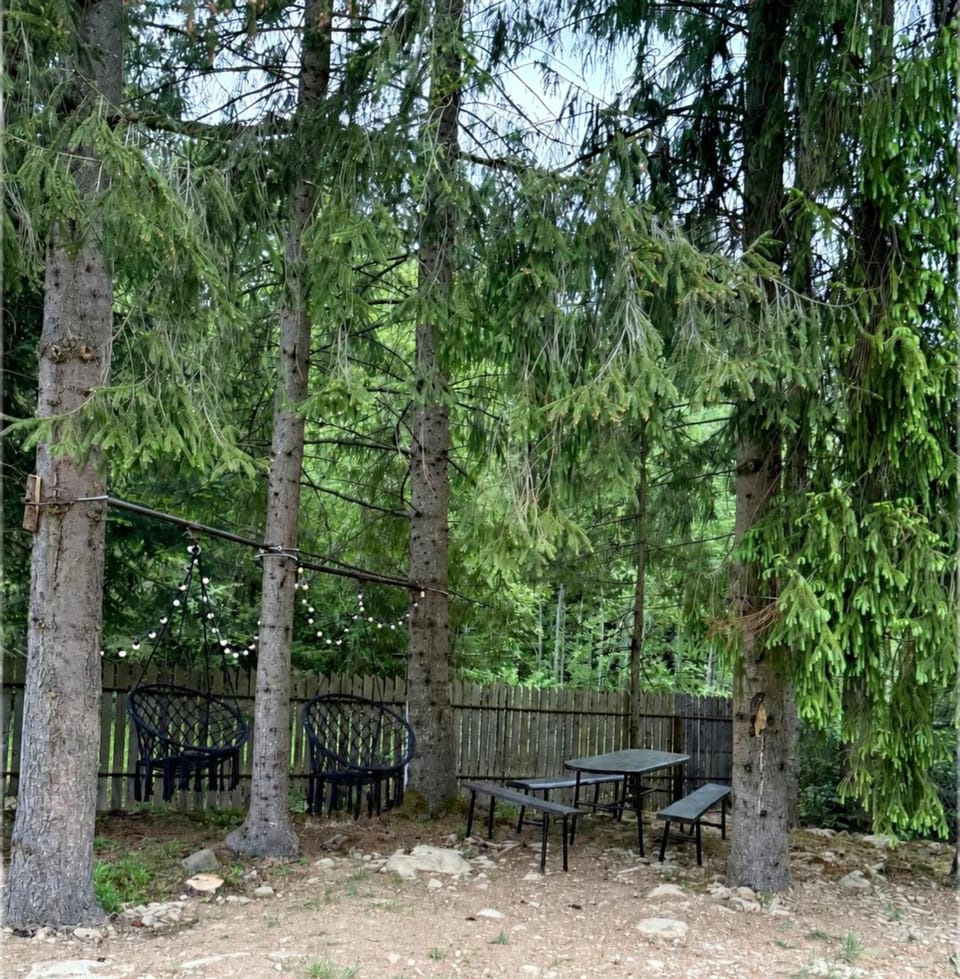 In Black forest Apartment in Ukraine
