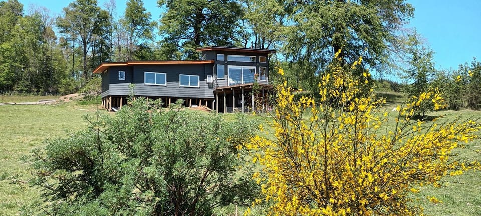 Property building, Spring