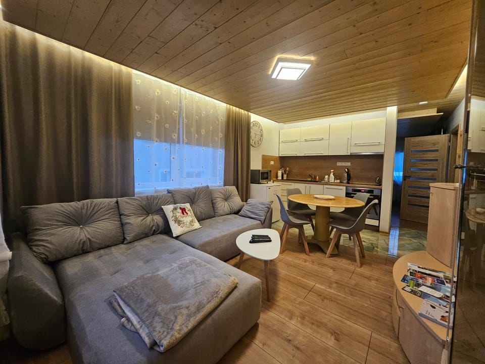 Kitchen or kitchenette, Living room, Seating area, Dining area