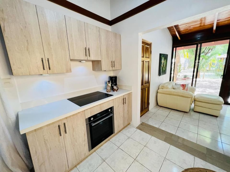 El Papagayo Verde 5 min walk to the beach and downtown Apartment in Coco