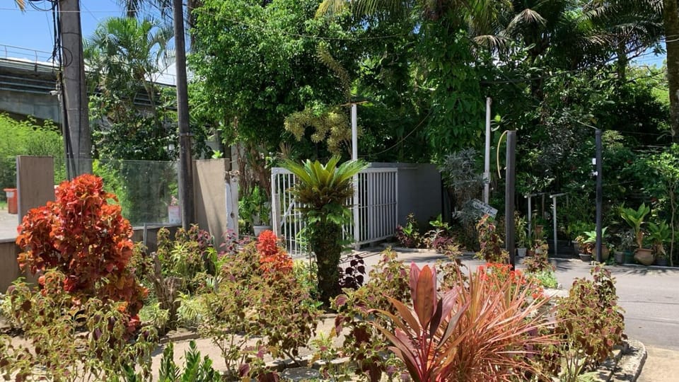 Facade/entrance, Darts, Darts, Garden, Garden view, Parking