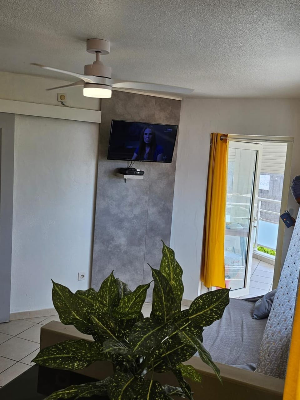 TV and multimedia