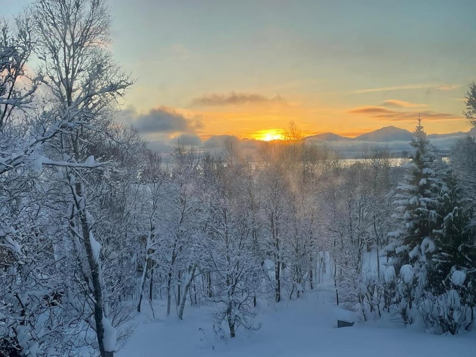 Sunrise