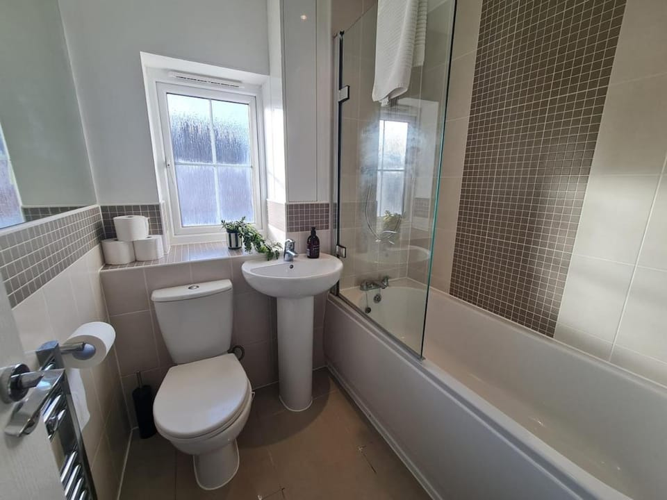Shower, Toilet, Bathroom, Bath, towels