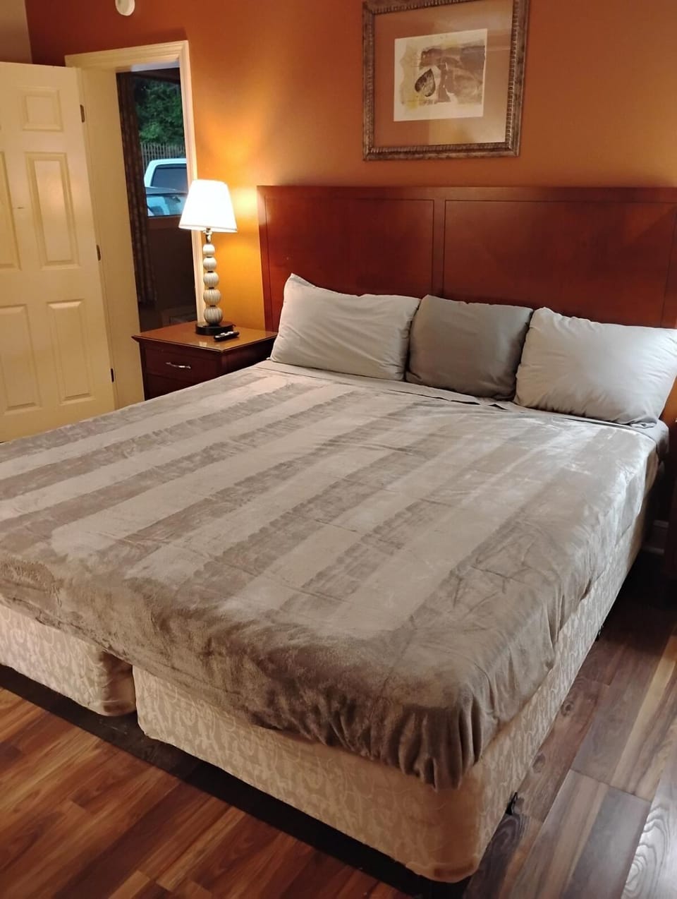 Gated - 1 King Bed 1 Bath Apt with Full Kitchen 113 Apartment in Baton Rouge
