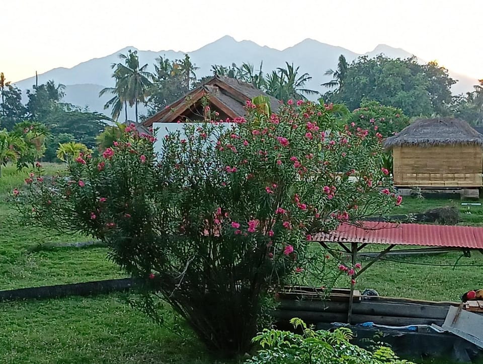 Volcano View Villa sleeps x 5 Villa in Pemenang