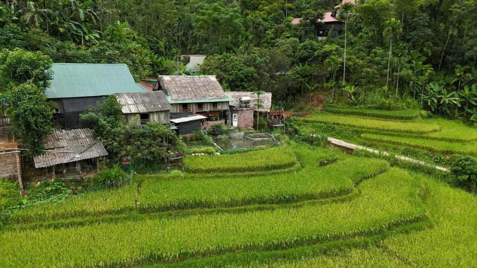 Homestay bên bờ suối Apartment in Vietnam
