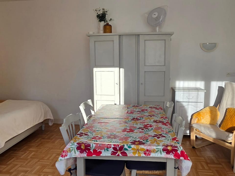 Studio cosy avec WIFI, jardin et parking à La Roche-Posay - FR-1-541-188 Apartment in Nouvelle-Aquitaine