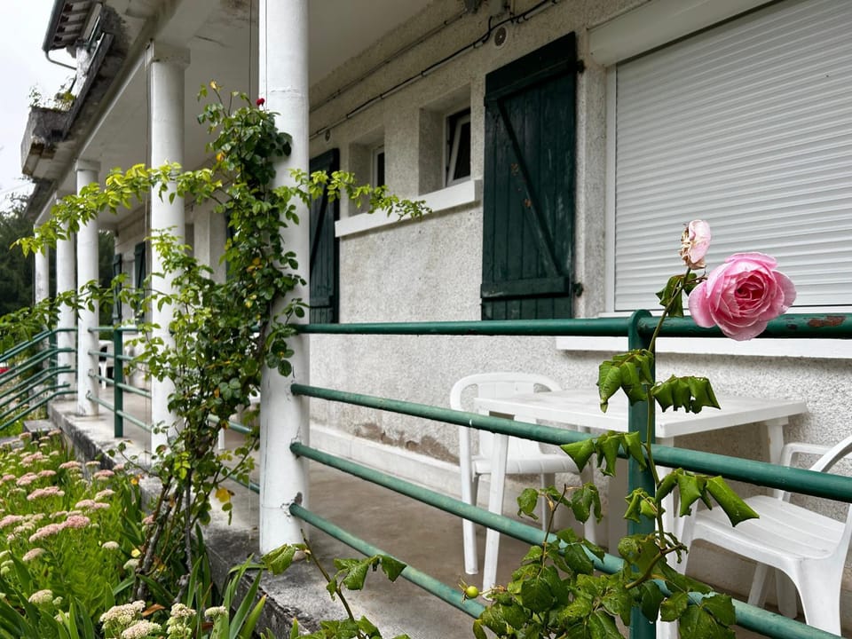 Studio cosy avec jardin et WIFI à La Roche-Posay - FR-1-541-187 Apartment in Nouvelle-Aquitaine