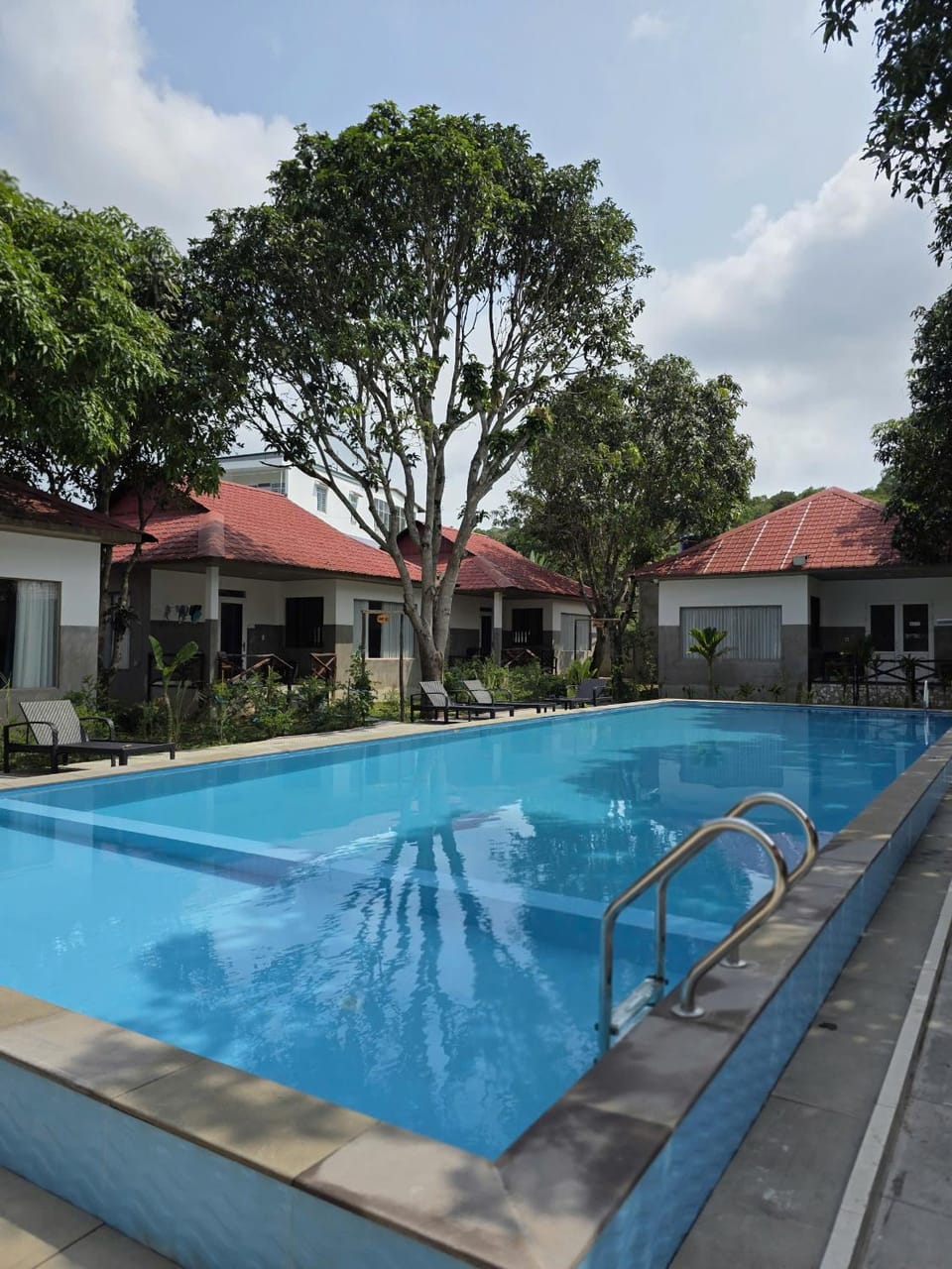 View (from property/room), Swimming pool