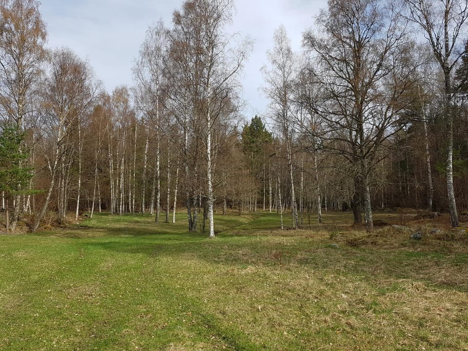 Natural landscape, Hiking