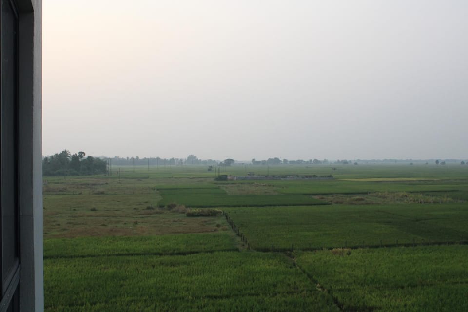 Natural landscape