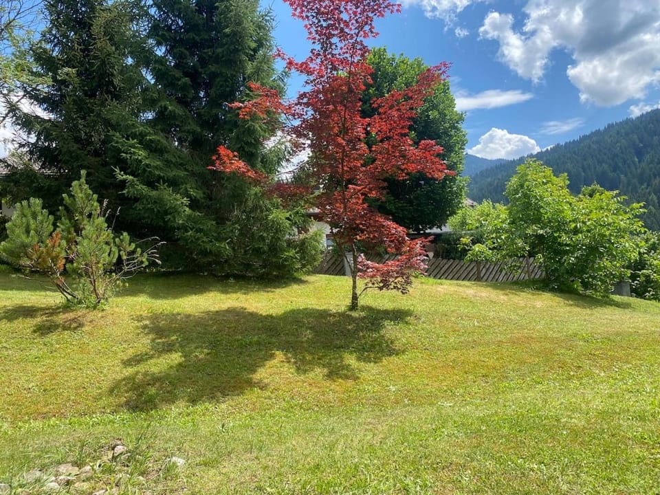 Spring, Garden view
