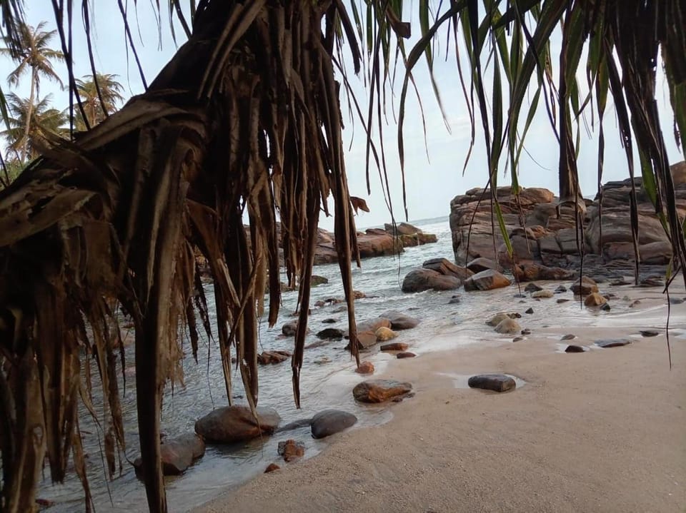 White shell Bed and Breakfast in Southern Province