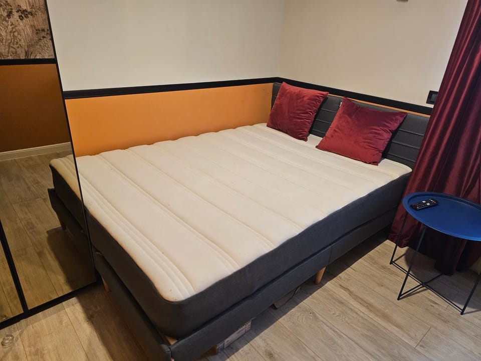 Apartamentul Panda Apartment in Brasov