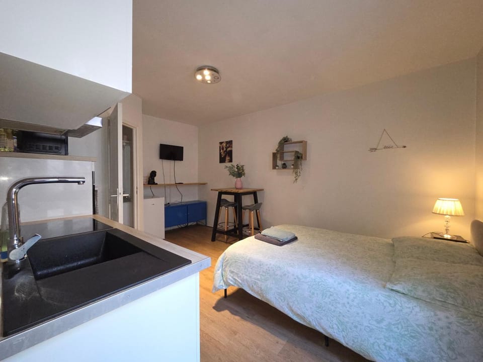 Studio proche gare et cité gastronomique Apartment in Dijon