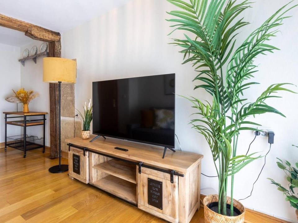 TV and multimedia, Decorative detail, internet