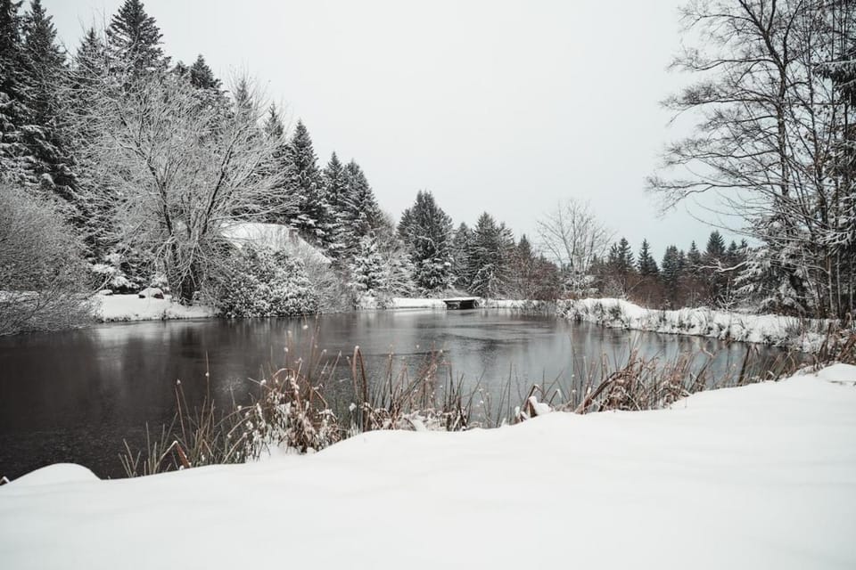 Chalet à 5 minutes de Gérardmer avec étang Apartment in Gérardmer