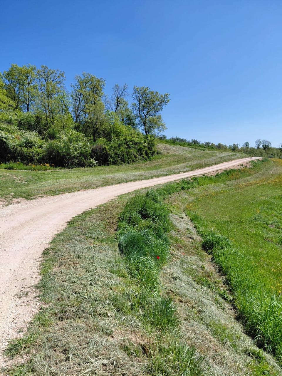 Casa Oliva Apartment in Umbria