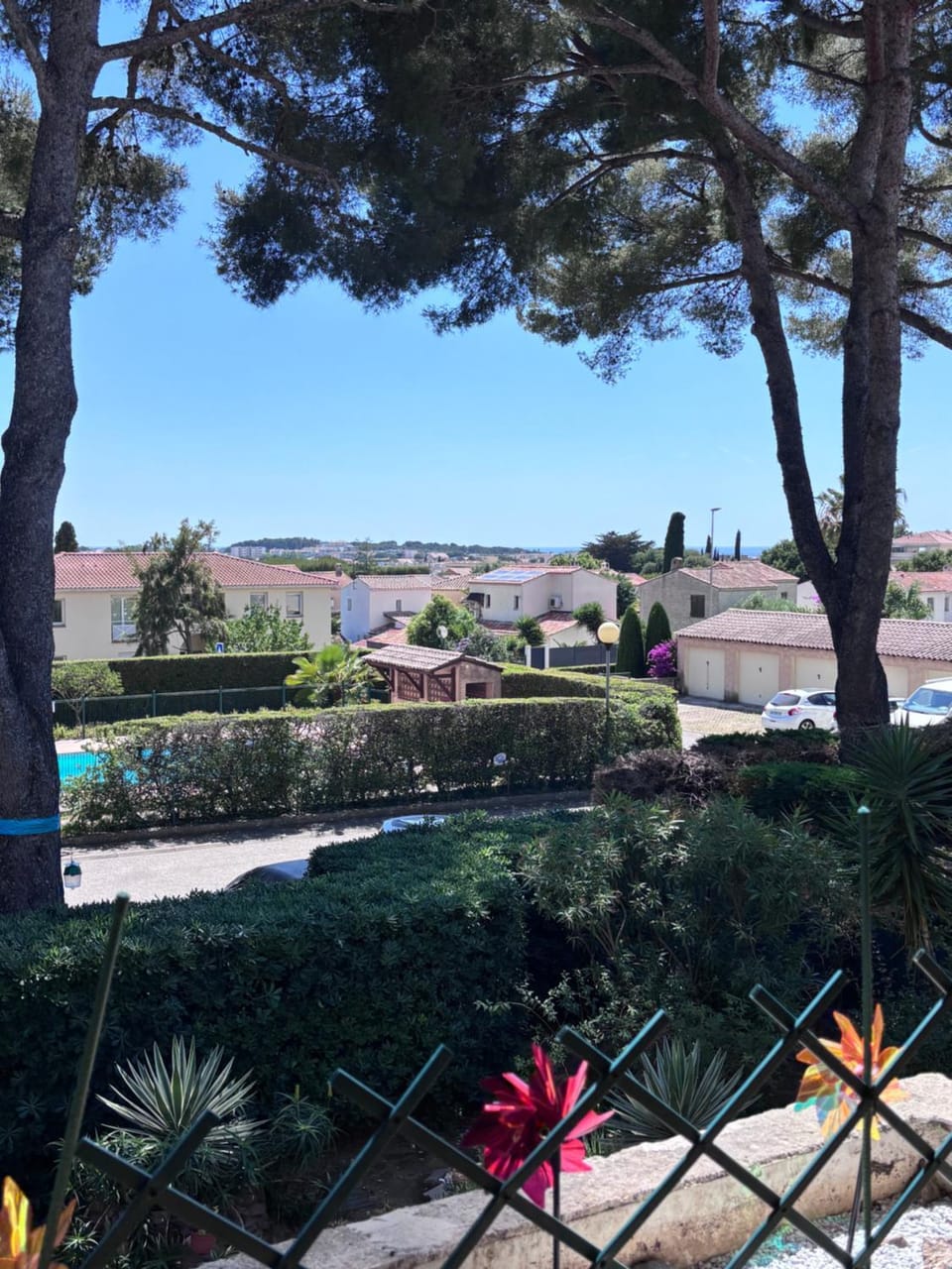 Pool view