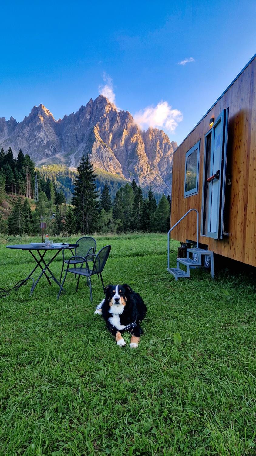 Spring, Day, Natural landscape, Pets, Mountain view