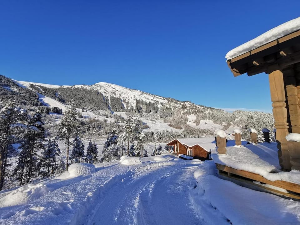 Mountain view