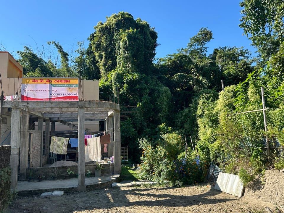 Property building, Spring, Day