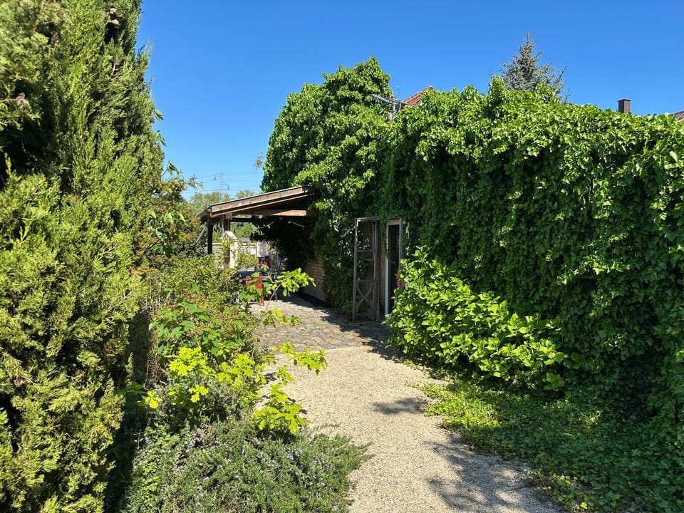 Property building, Garden