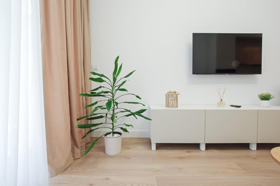 Wish of a Day - central Apartment in Romania