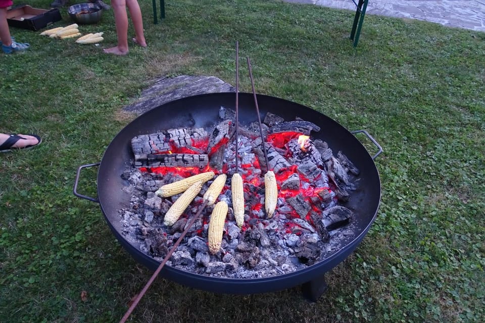 Activities, Garden