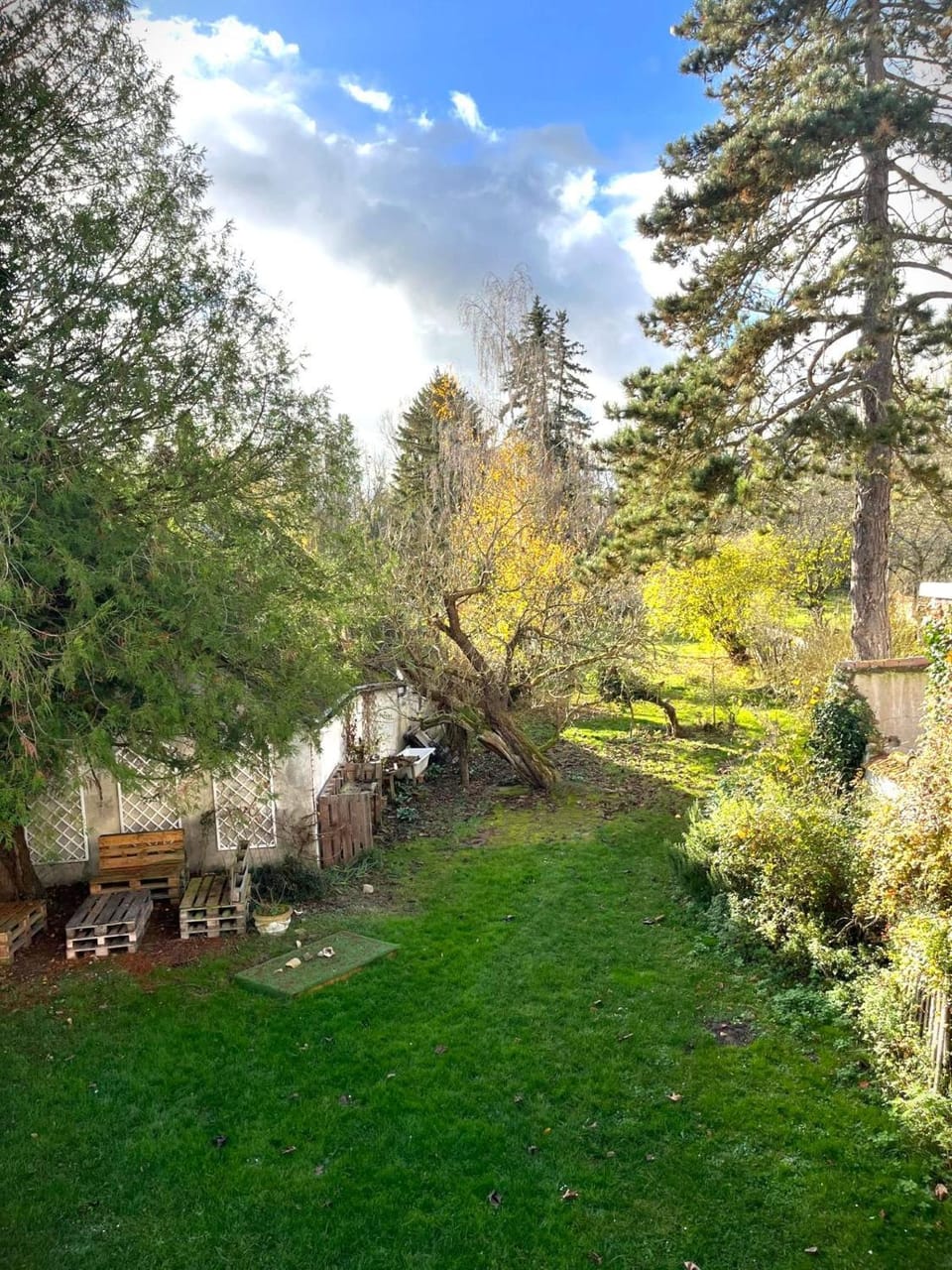 Garden view