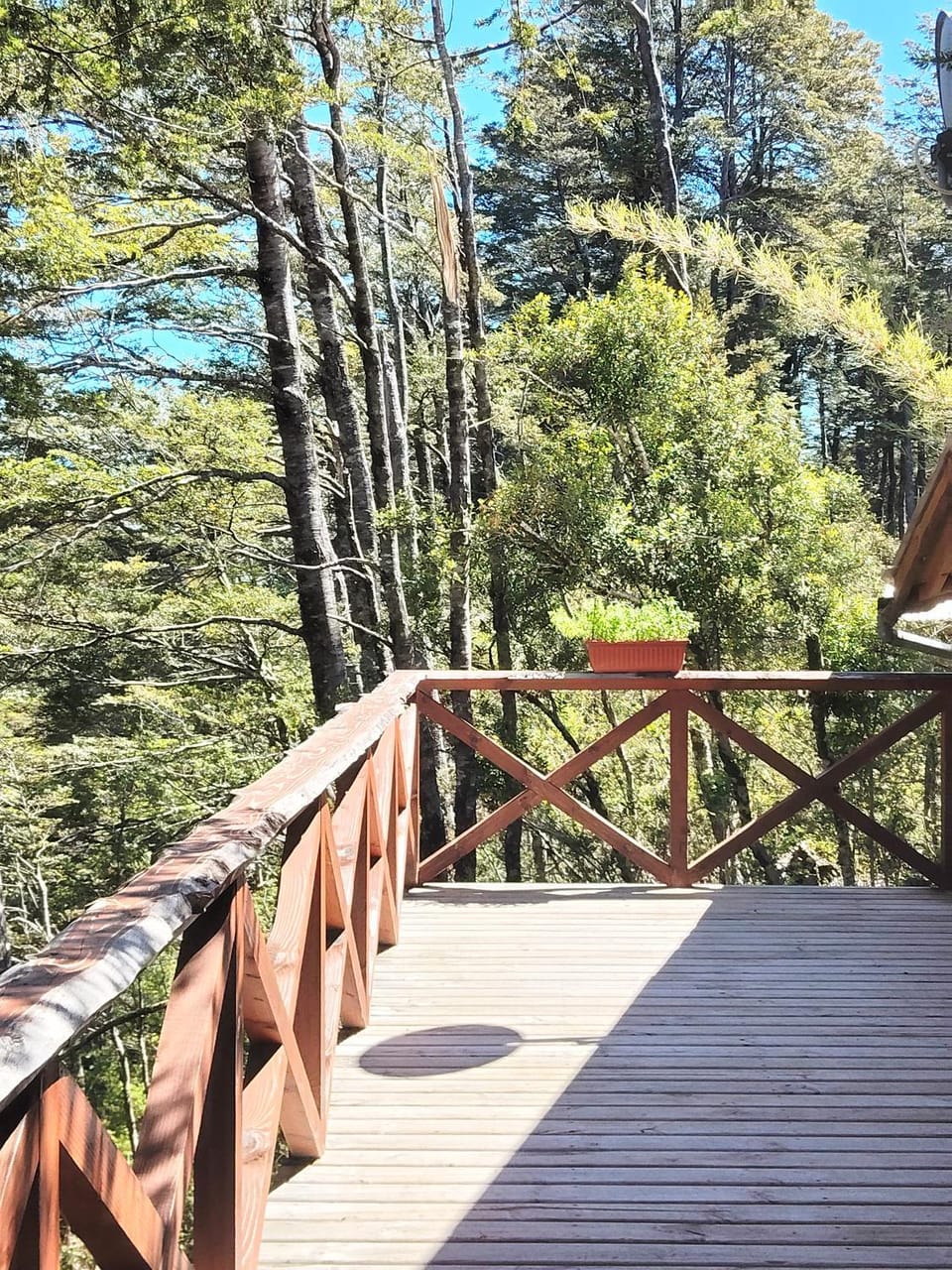Cabañas mountain Native forest Apartment in Temuco