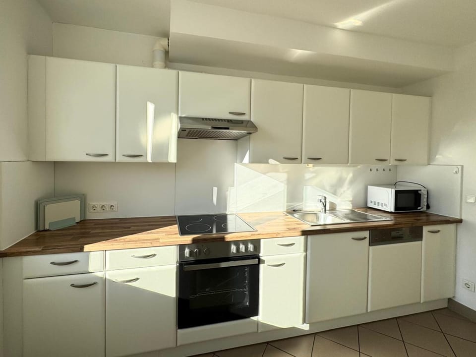 dishwasher, oven, stove
