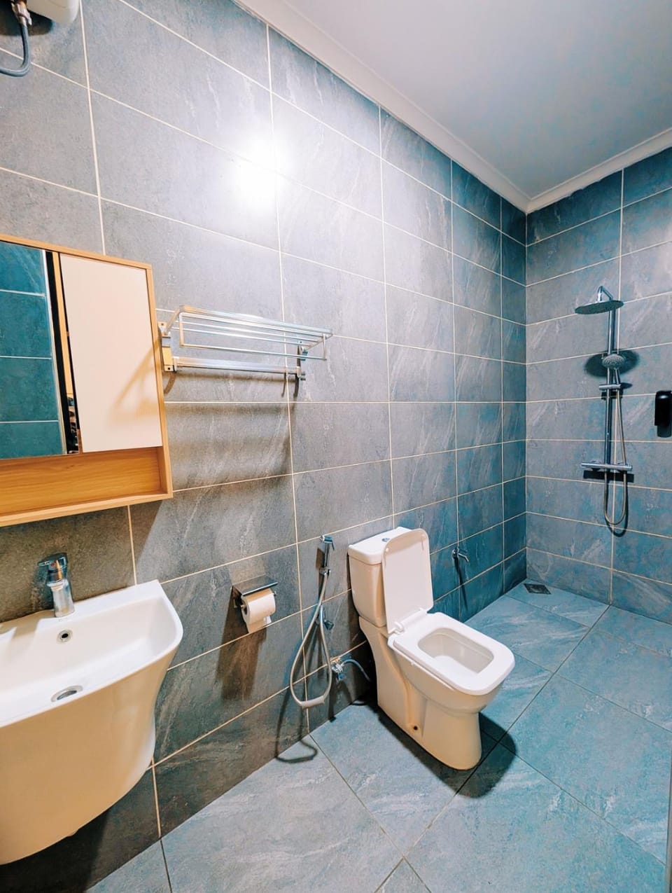 Shower, Toilet, Bathroom, towels