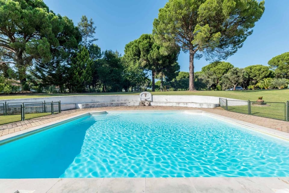 Garden, Swimming pool, Swimming pool