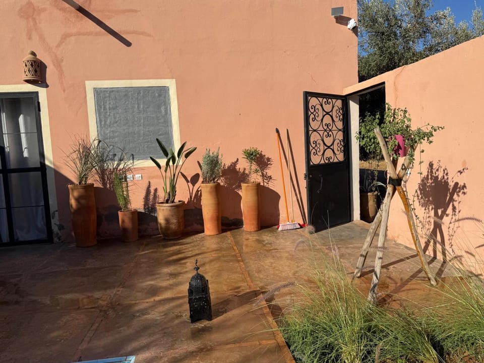Property building, Patio, Garden, Garden view