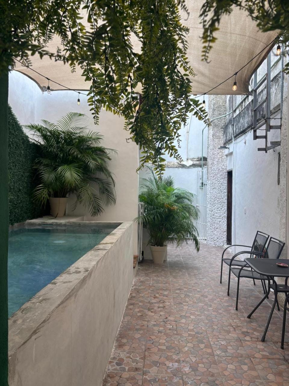 Swimming pool, Swimming pool