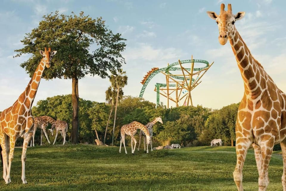 Nearby landmark, Animals
