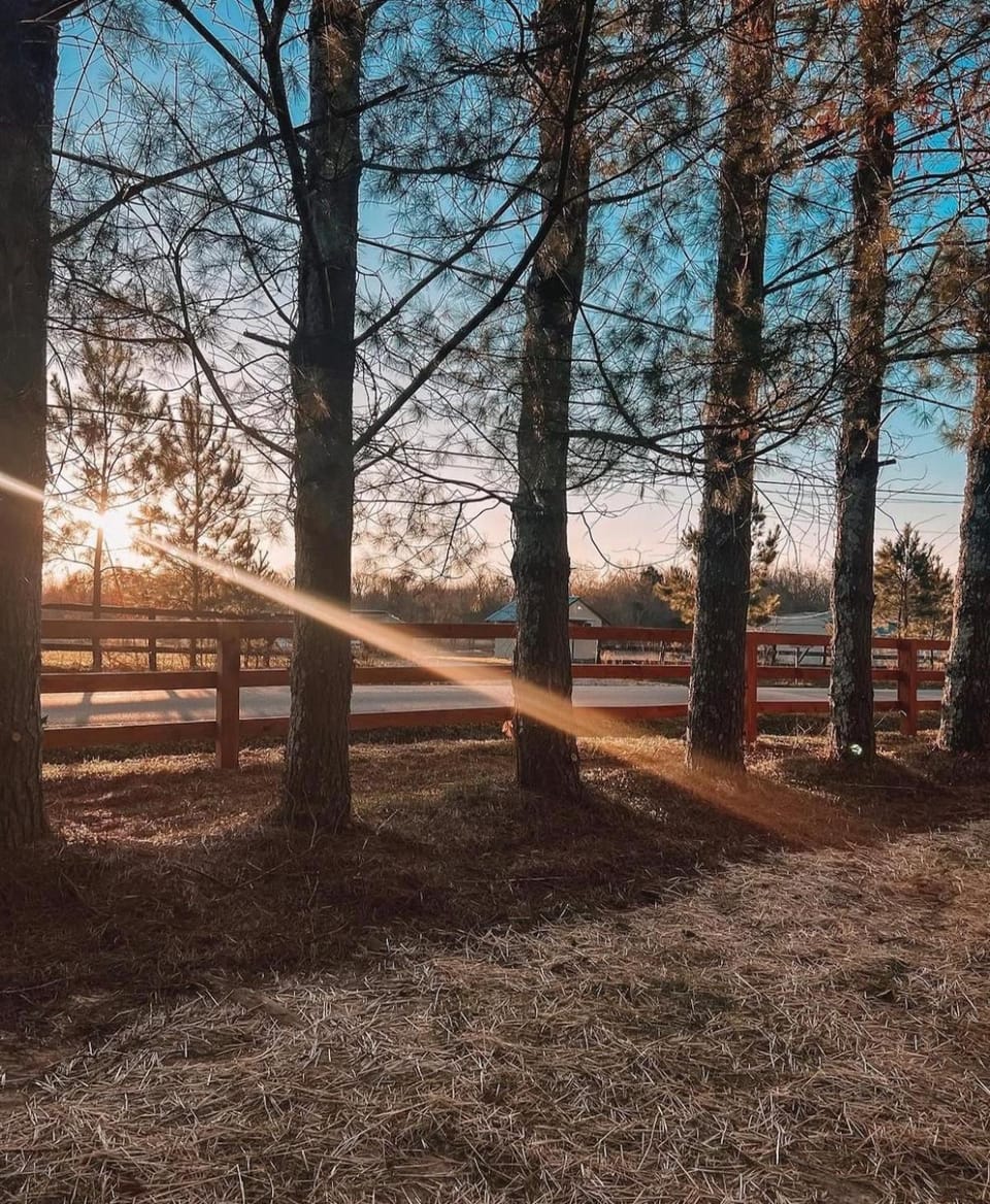 Natural landscape, Sunrise