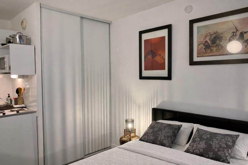 Le Petit Central - 50m métro - tram Apartment in Villeurbanne