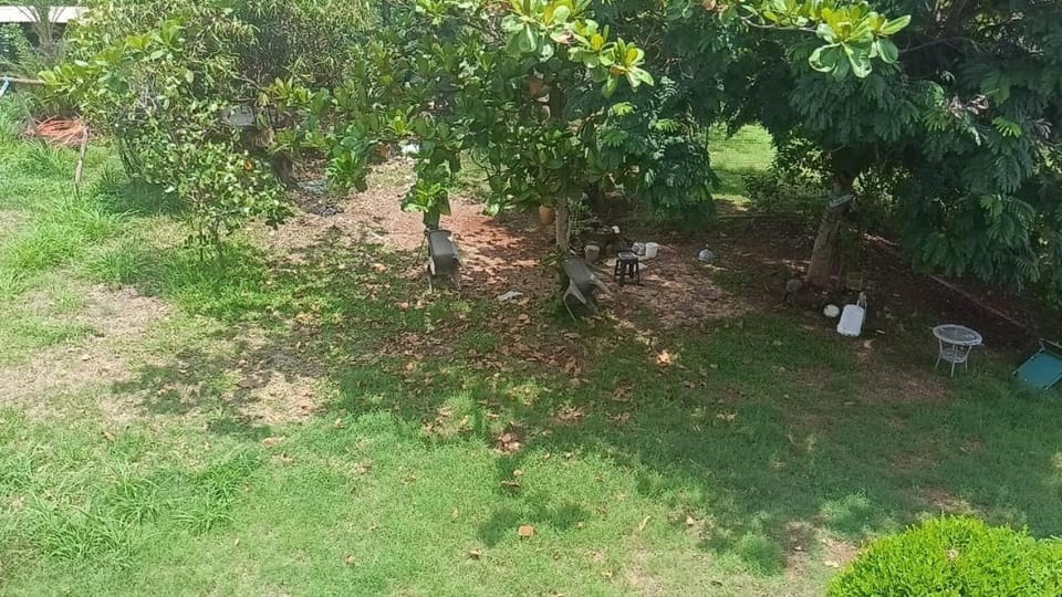 Les zoliviers Bed and Breakfast in Rivière Noire District, Mauritius