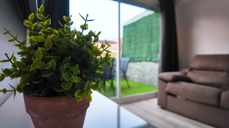 Spring, Day, Garden, Living room, Seating area, Garden view