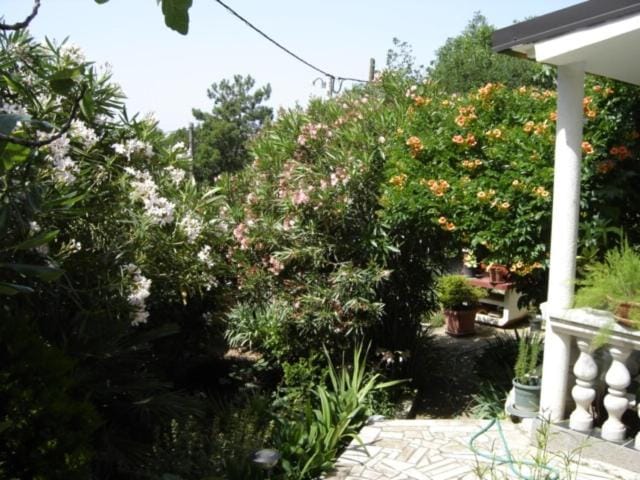 Location, children, Family