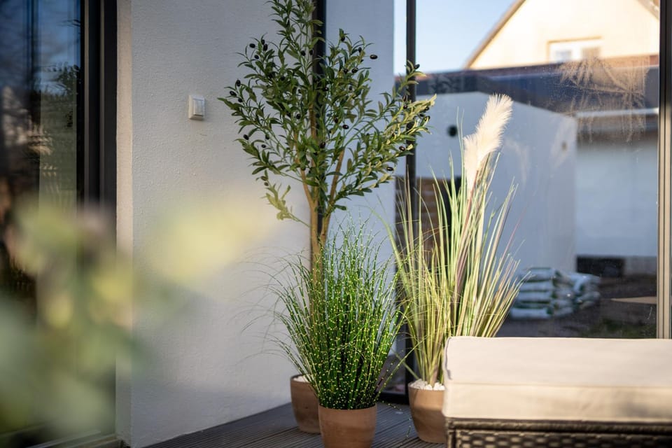 Garden view
