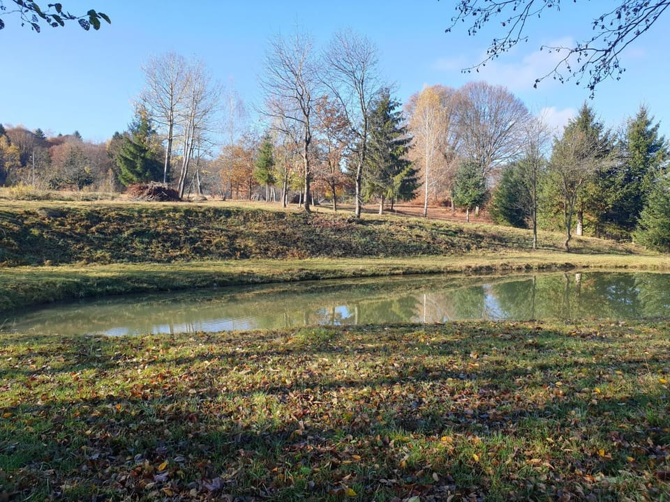Day, Natural landscape, Lake view