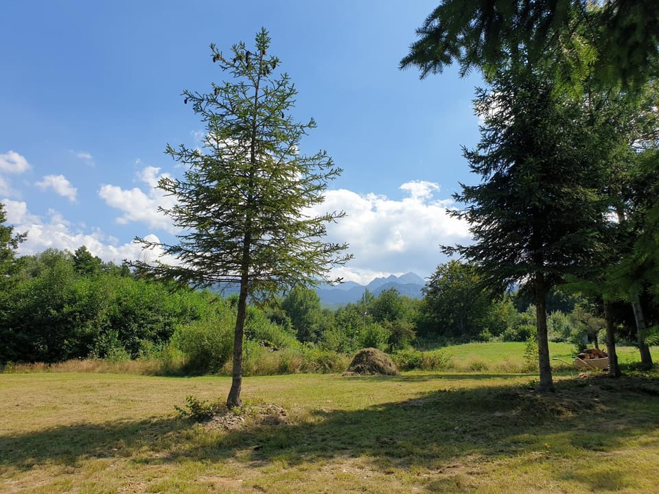 Mountain view