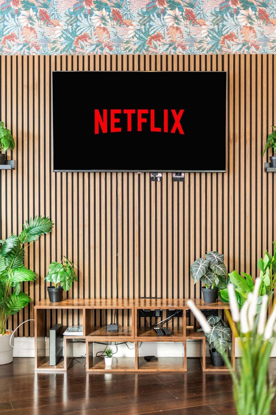 TV and multimedia