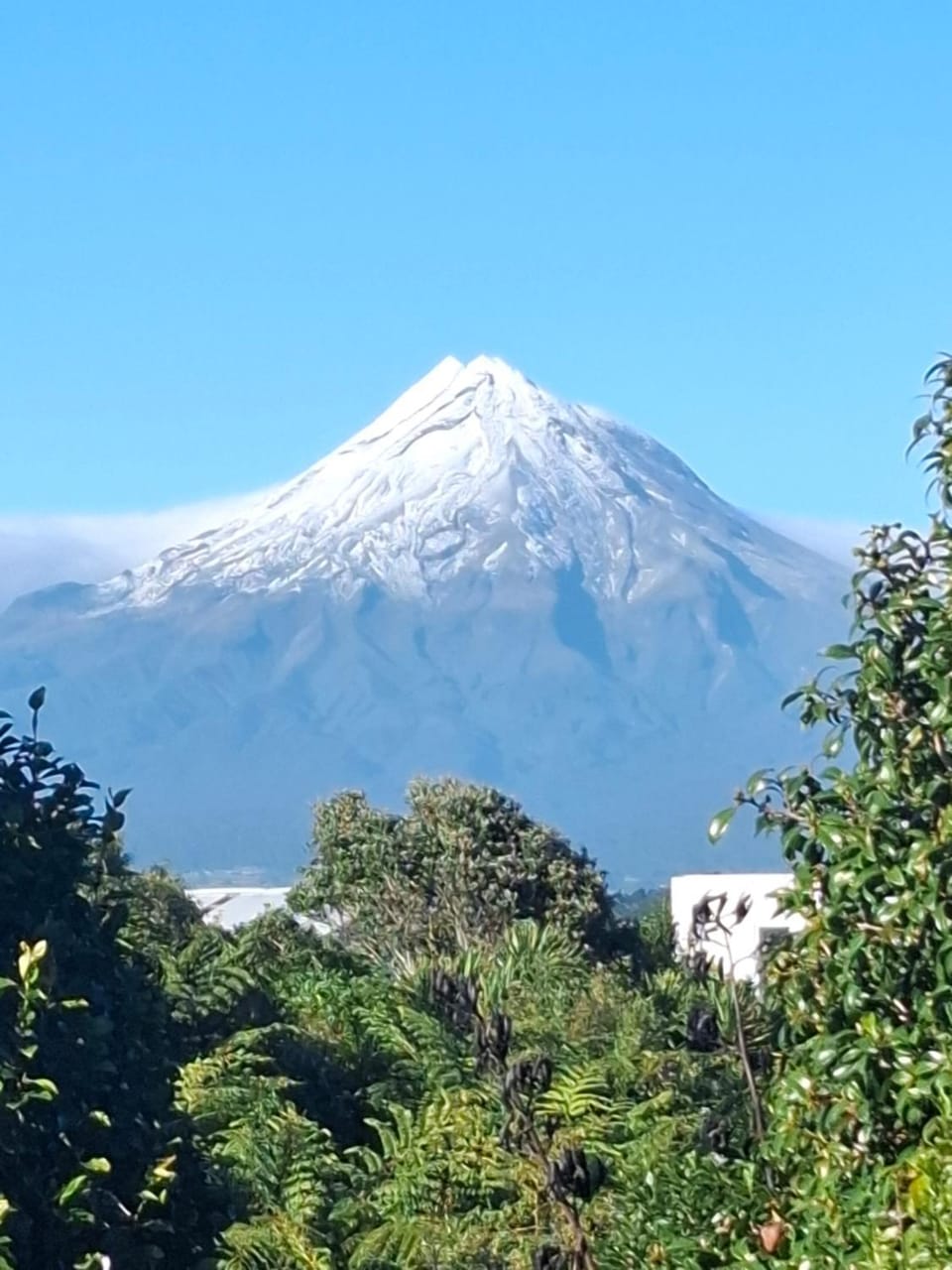 Little Hurst House - Escape the Ordinary Country House in Taranaki, New Zealand