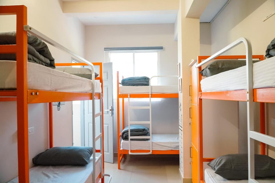 Bed, Photo of the whole room, Bedroom, bunk bed