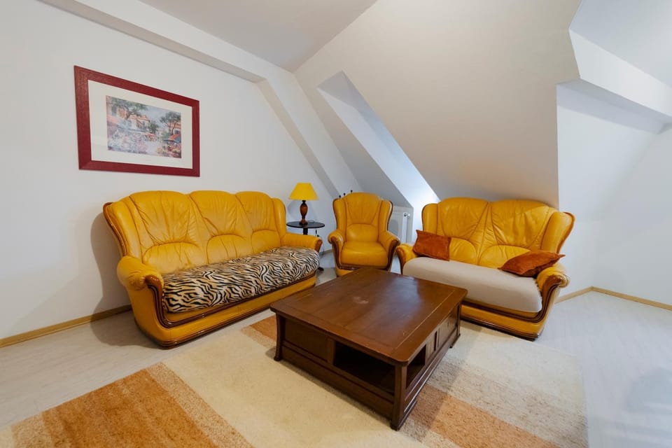 Appartement cosy au cœur de Colmar Apartment in Colmar